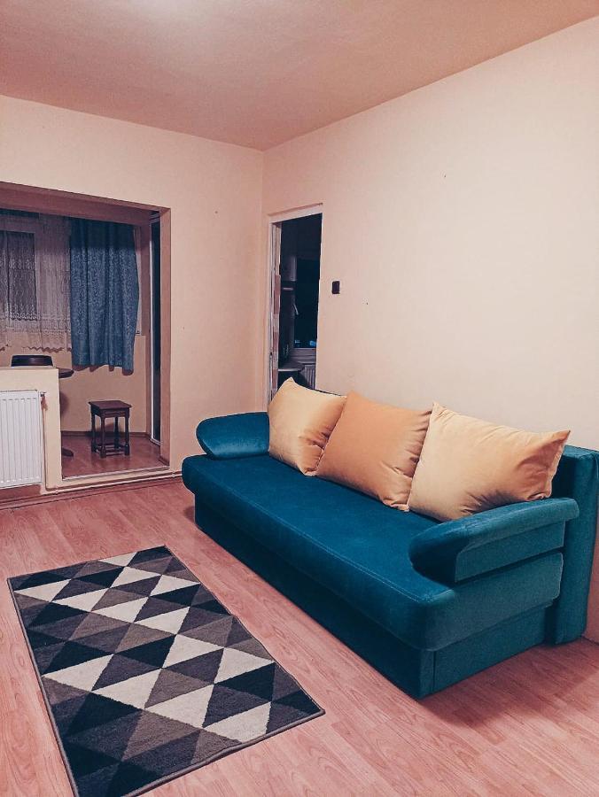 Kid Apartments クルージュ＝ナポカ エクステリア 写真